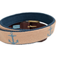 Anchor Tan Needlepoint Canvas Belt